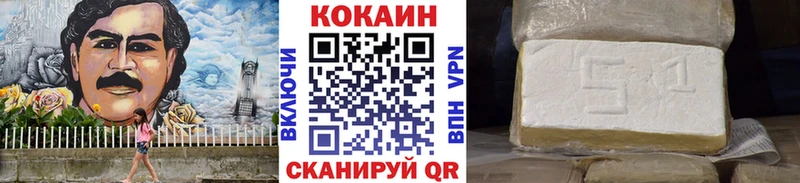Купить где  Калачинск  COCAIN Fish Scale 