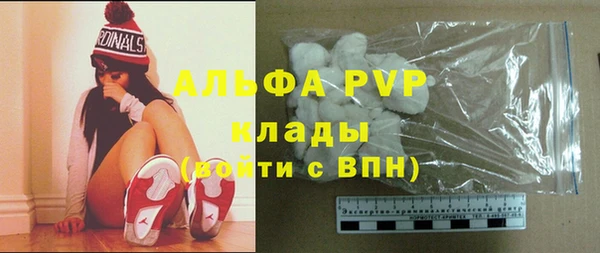 прущие грибы Приозерск