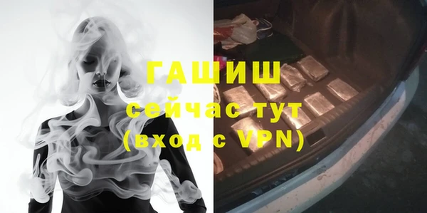 прущие грибы Приозерск