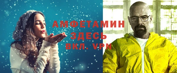 прущие грибы Приозерск