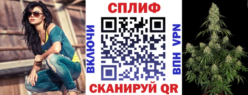 Купить  Калачинск  Каннабис Amnesia 